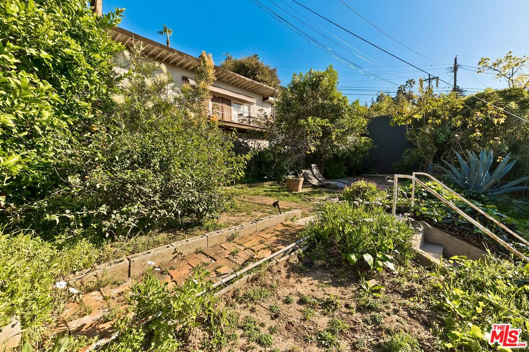 2106 Rockford Road Los Angeles, CA 90039 - Photo 21 of 66 a view of a yard with plants and large trees