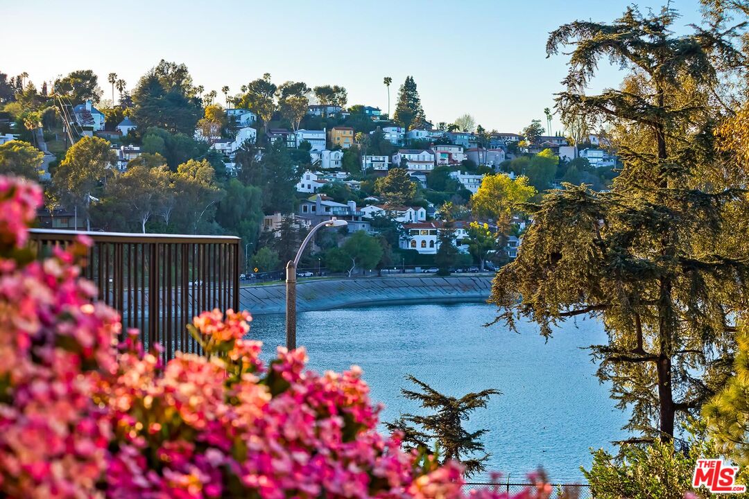 2106 Rockford Road Los Angeles, CA 90039 - Photo 57 of 66 a view of a flower in a yard