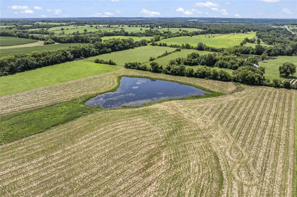 29215 State Route West Freeman, MO 64746 - Photo 5 of 58