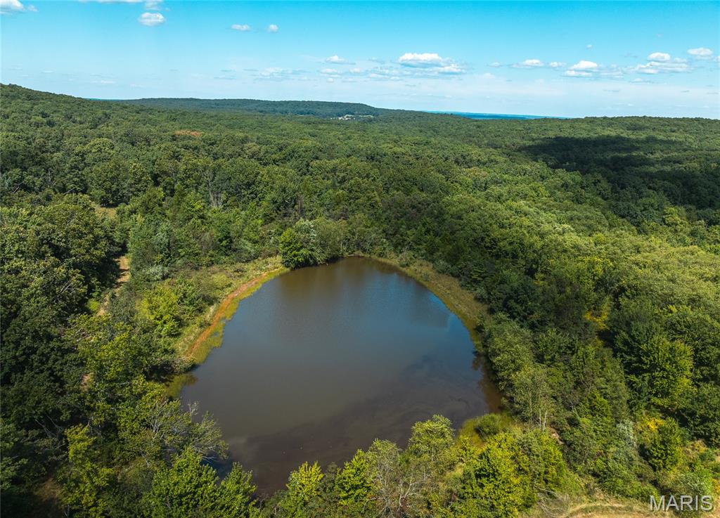 4 Buck Mountain Road Ironton, MO 63650 - Photo 6 of 27