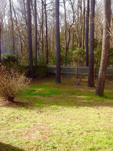 4848 Oak Leaf Road Summerville, SC 29485 - Photo 2 of 4 4848 Oak Lead Rd Pic 4