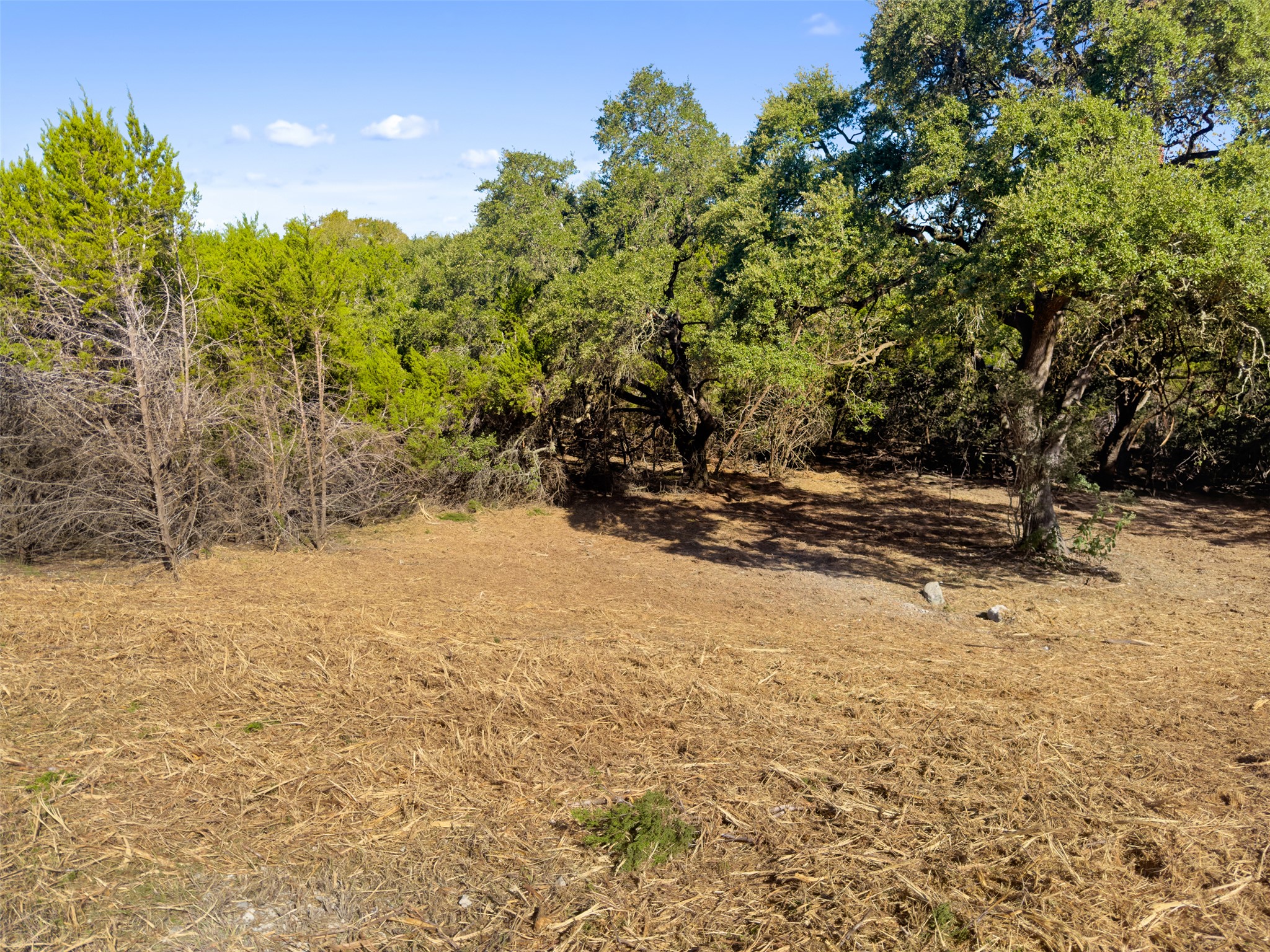 817 Rutherford Fischer, TX 78623 - Photo 15 of 22 A spacious, tree-dotted lot provides a prime building opportunity with natural shade.