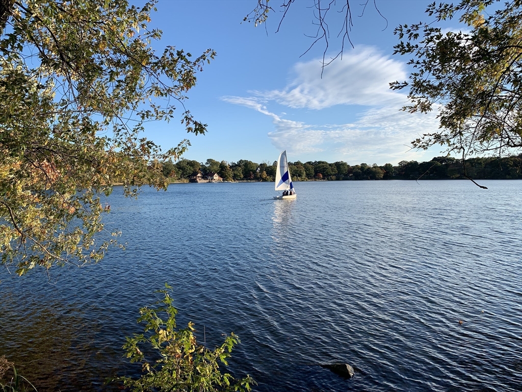 32 Castleton Street Boston, MA 02130 - Photo 37 of 38