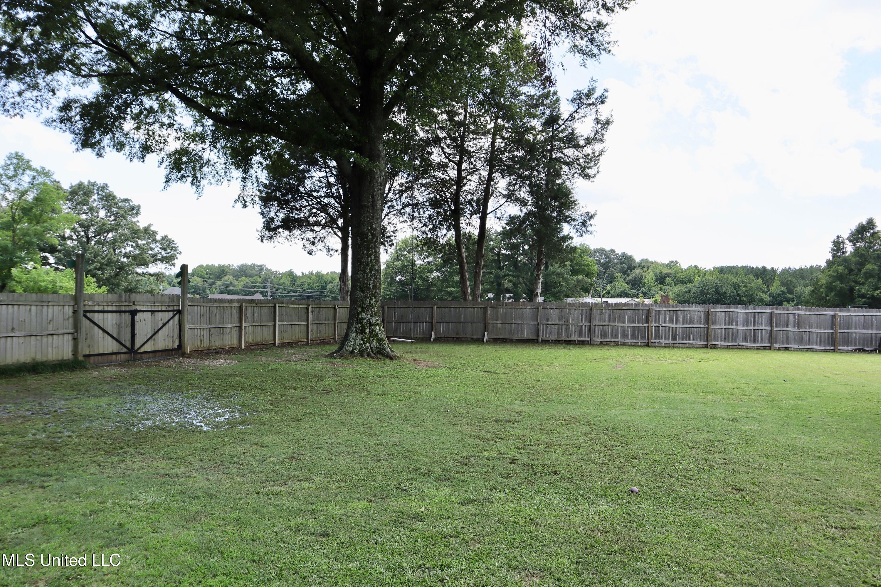2440 Church Road East Southaven, MS 38671 - Photo 12 of 31 IMG_6817