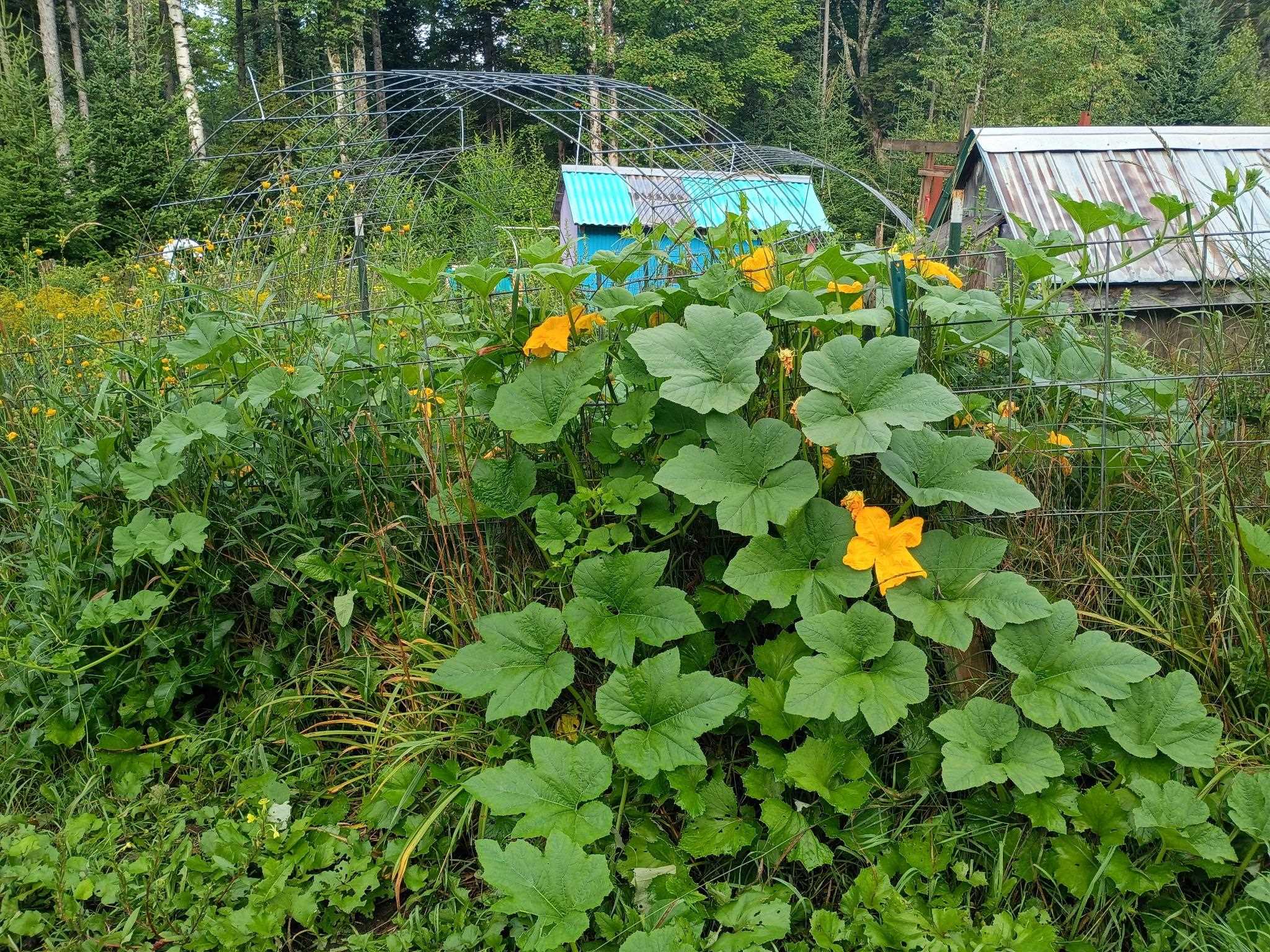 115 Smith Road Barre, VT 05641 - Photo 3 of 29 Gallery Image 3