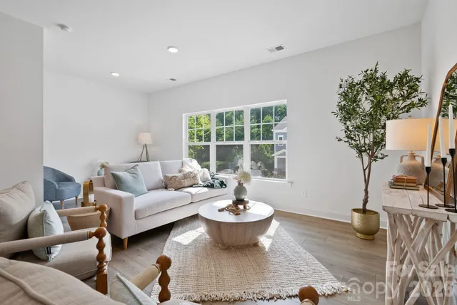 a living room with furniture and a potted plant