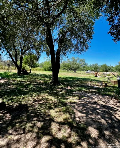 a view of a yard with a tree