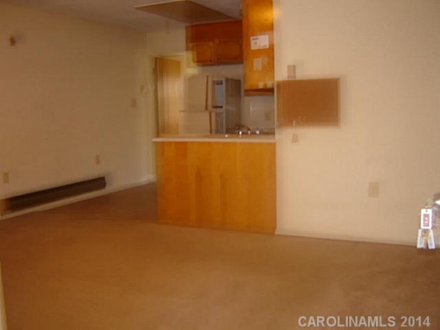 6110 Teed Road Waxhaw, NC 28173 - Photo 6 of 16 Gallery Image 6