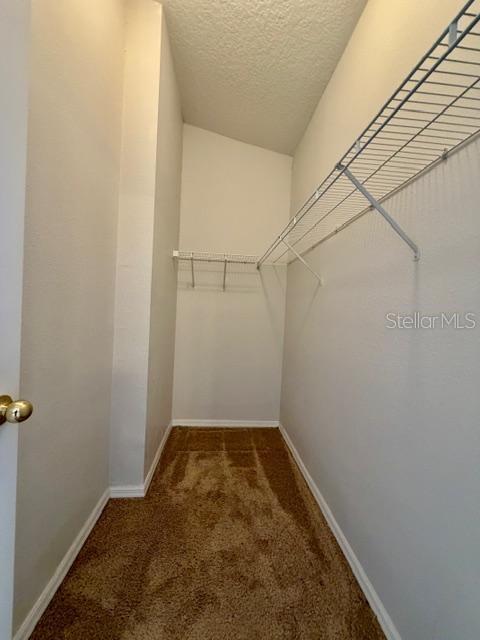 501 Broken Limb Place Brandon, FL 33510 - Photo 12 of 22