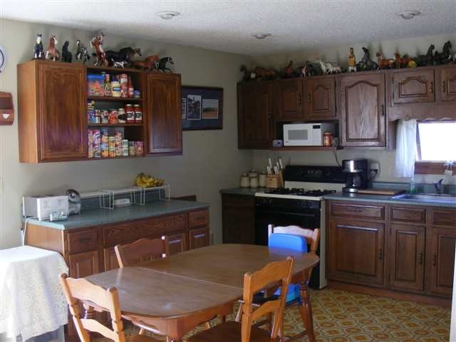 167 Mill Point Road Delanson, NY 12053 - Photo 3 of 11 Photo 3