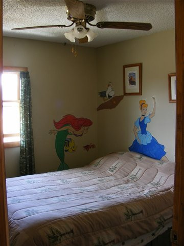 167 Mill Point Road Delanson, NY 12053 - Photo 7 of 11 Photo 7