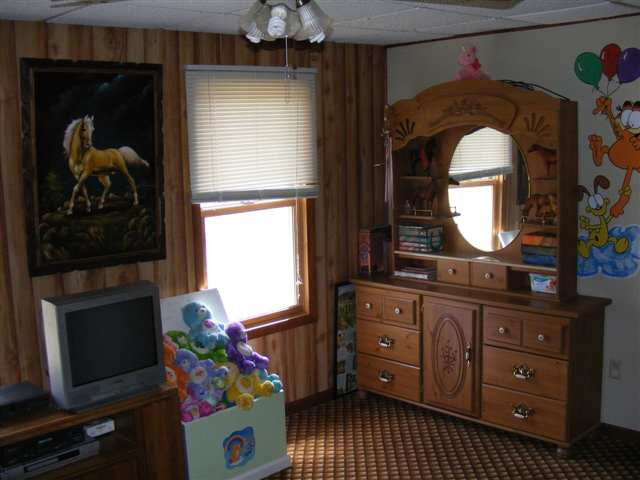 167 Mill Point Road Delanson, NY 12053 - Photo 8 of 11 Photo 8