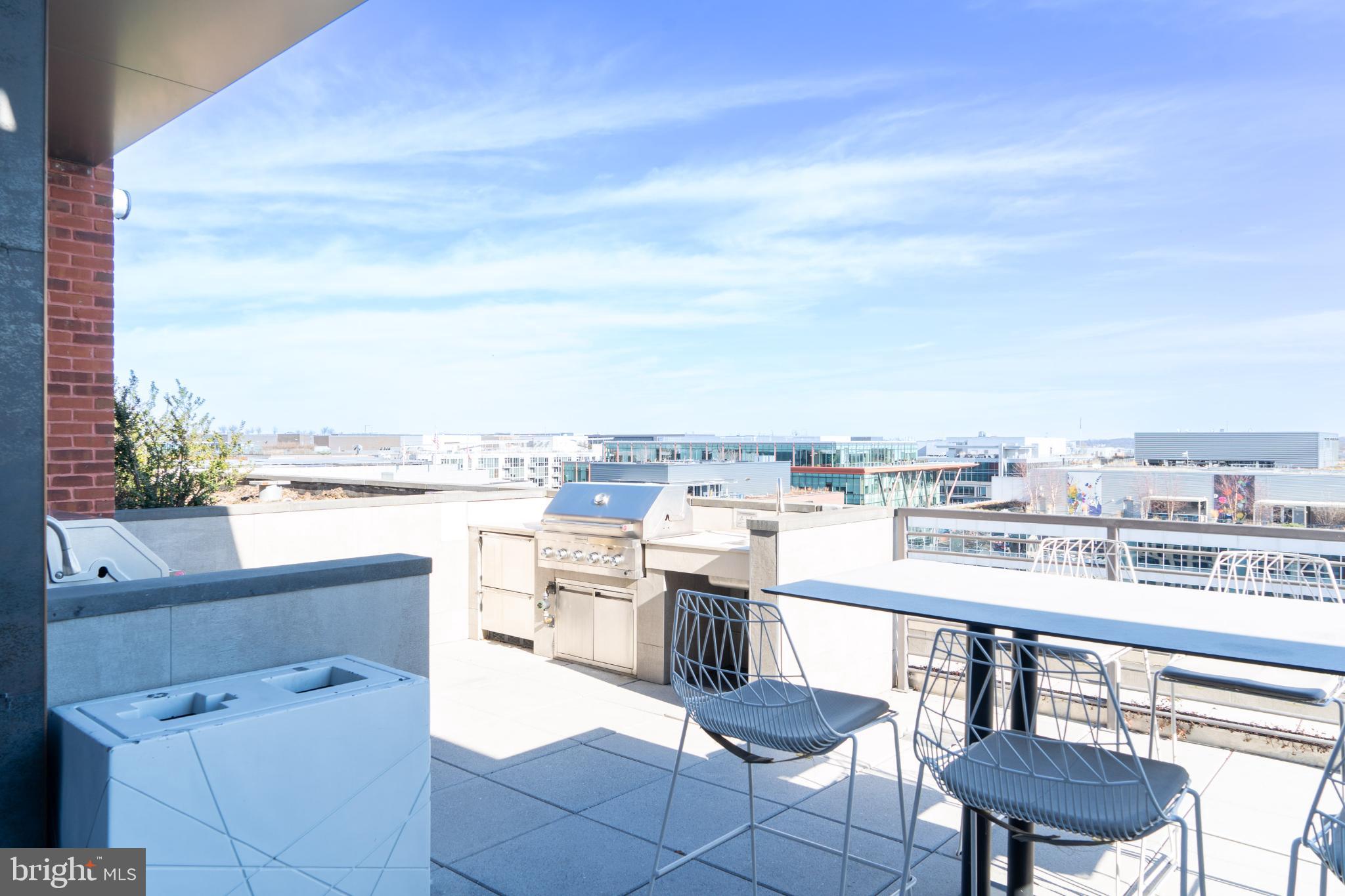 1211 Van Street Southeast, Unit 1107 Washington, DC 20003 - Photo 13 of 17 Rooftop grilling and entertaining area