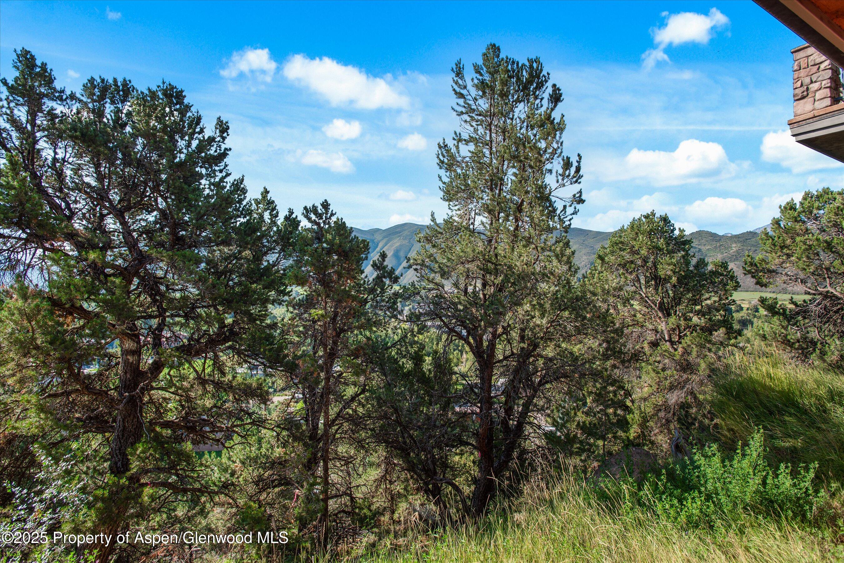 404 Wild Spring Lane Basalt, CO 81621 - Photo 21 of 30 a view of a tree in a yard