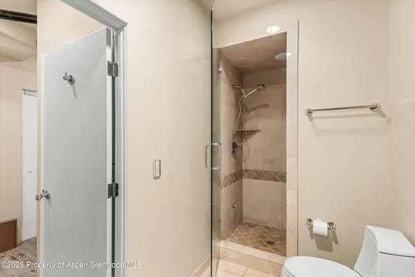 a bathroom with a shower and toilet