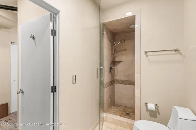 a bathroom with a shower and toilet