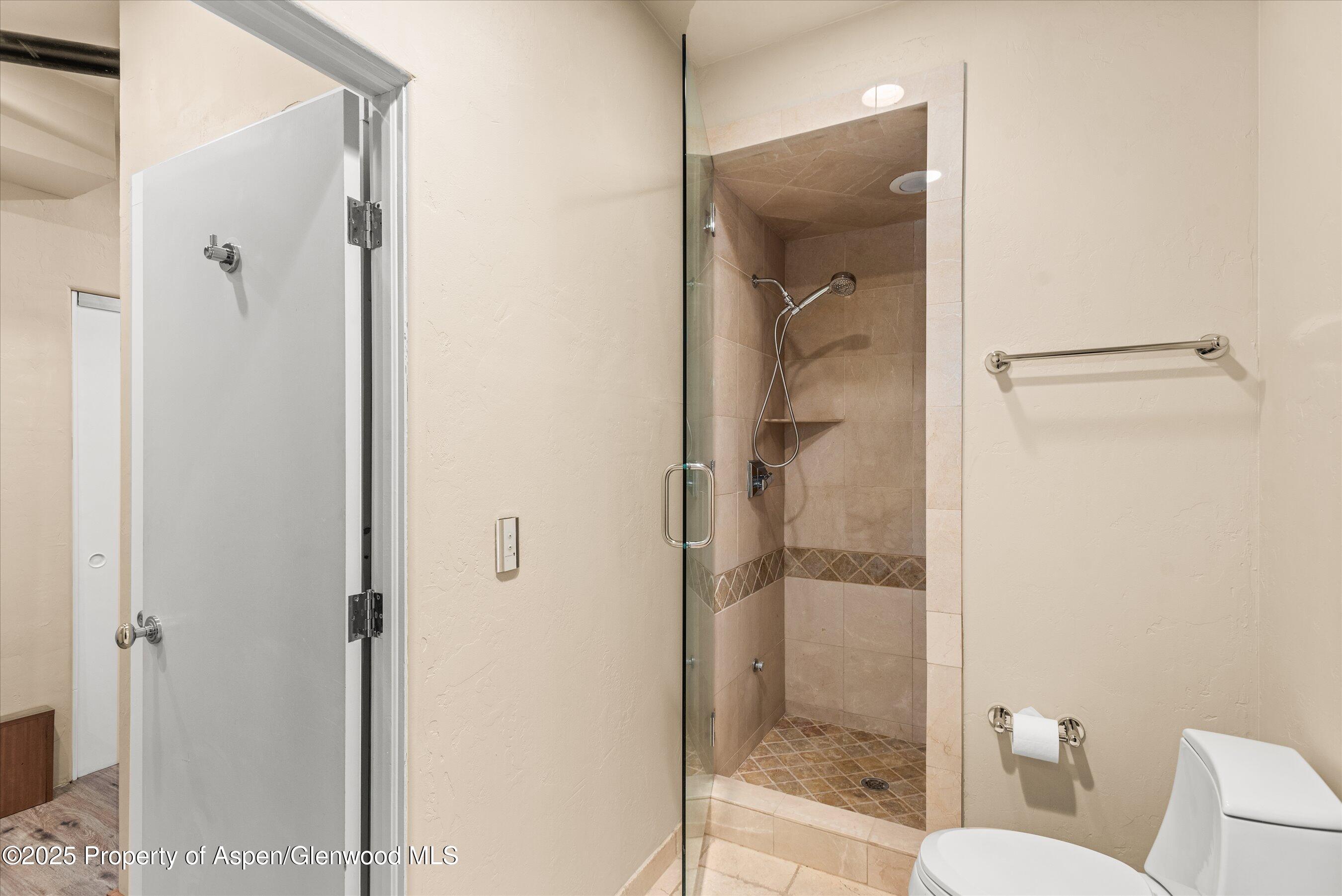 404 Wild Spring Lane Basalt, CO 81621 - Photo 24 of 30 a bathroom with a shower and toilet
