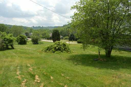 518 Joffre Cherry Valley Road Burgettstown, PA 15021 - Photo 4 of 8 Yard/Garden.