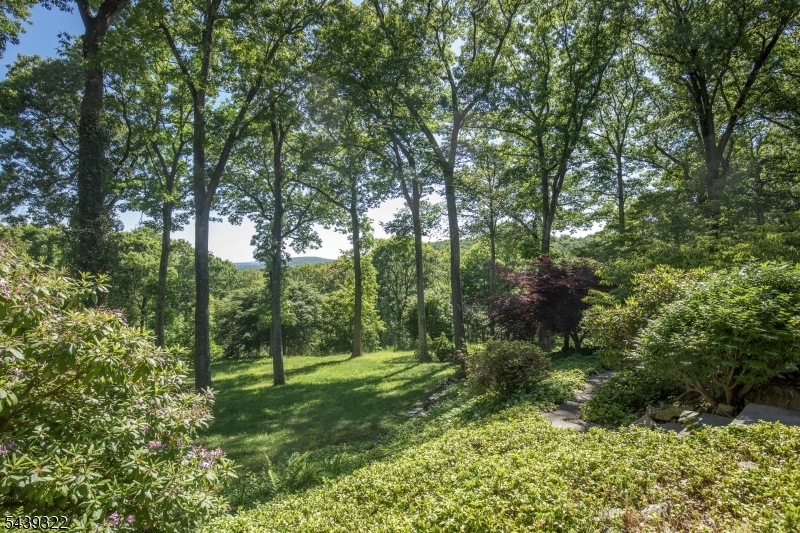 235 Mountainside Road Mendham, NJ 07945 - Photo 8 of 39
