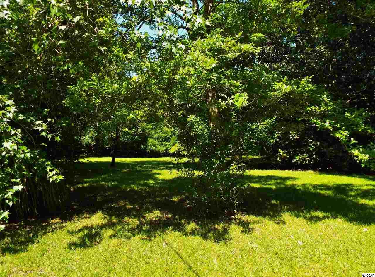 1008 Hart Street Conway, SC 29526 - Photo 22 of 27 Gallery Image 22