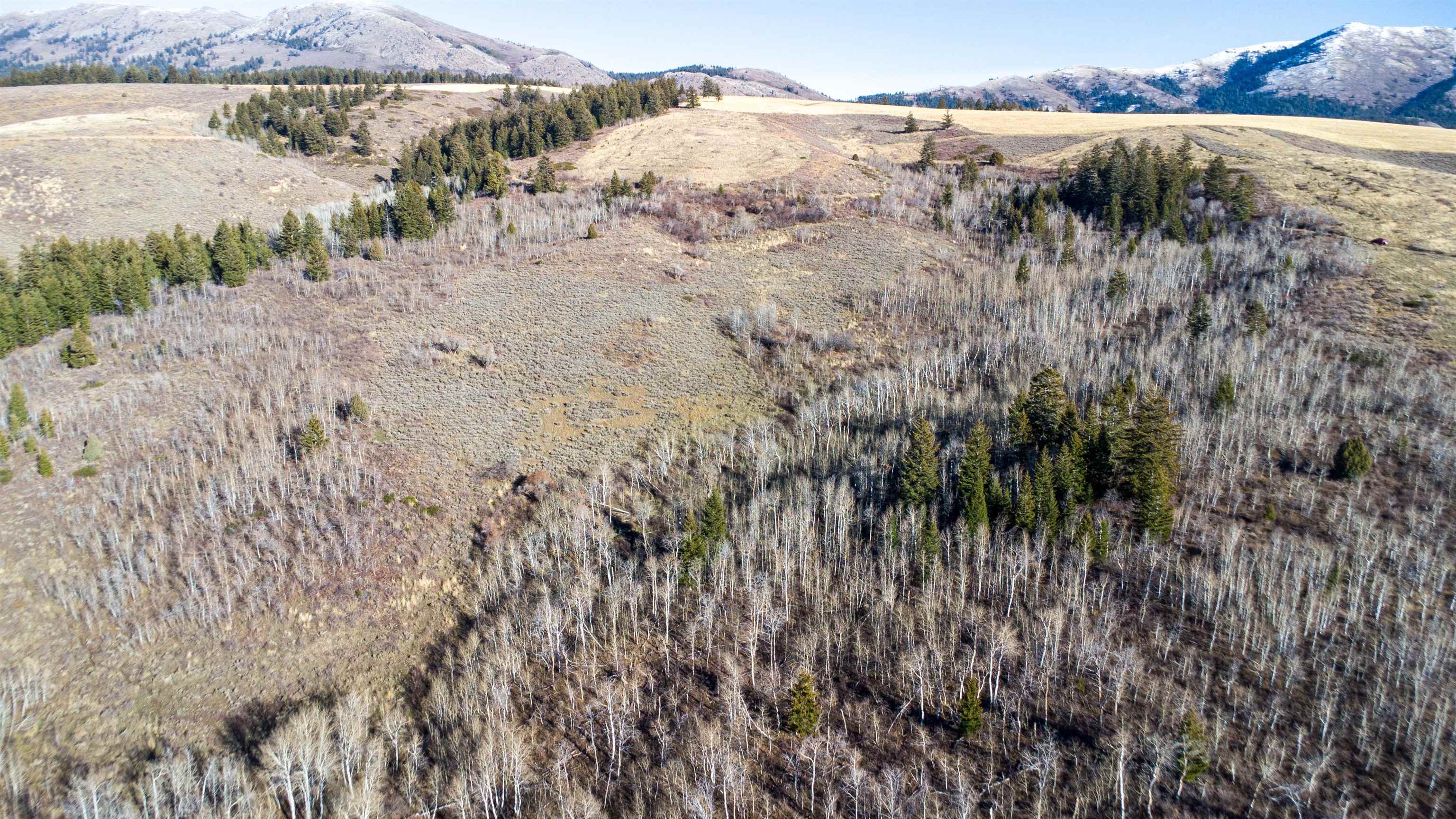 Mercer Creek Road Arimo, ID 83214 - Photo 23 of 23 Gallery Image 23