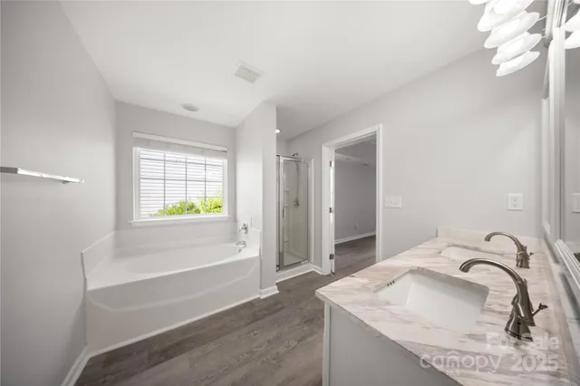 a bathroom with a sink and a bathtub