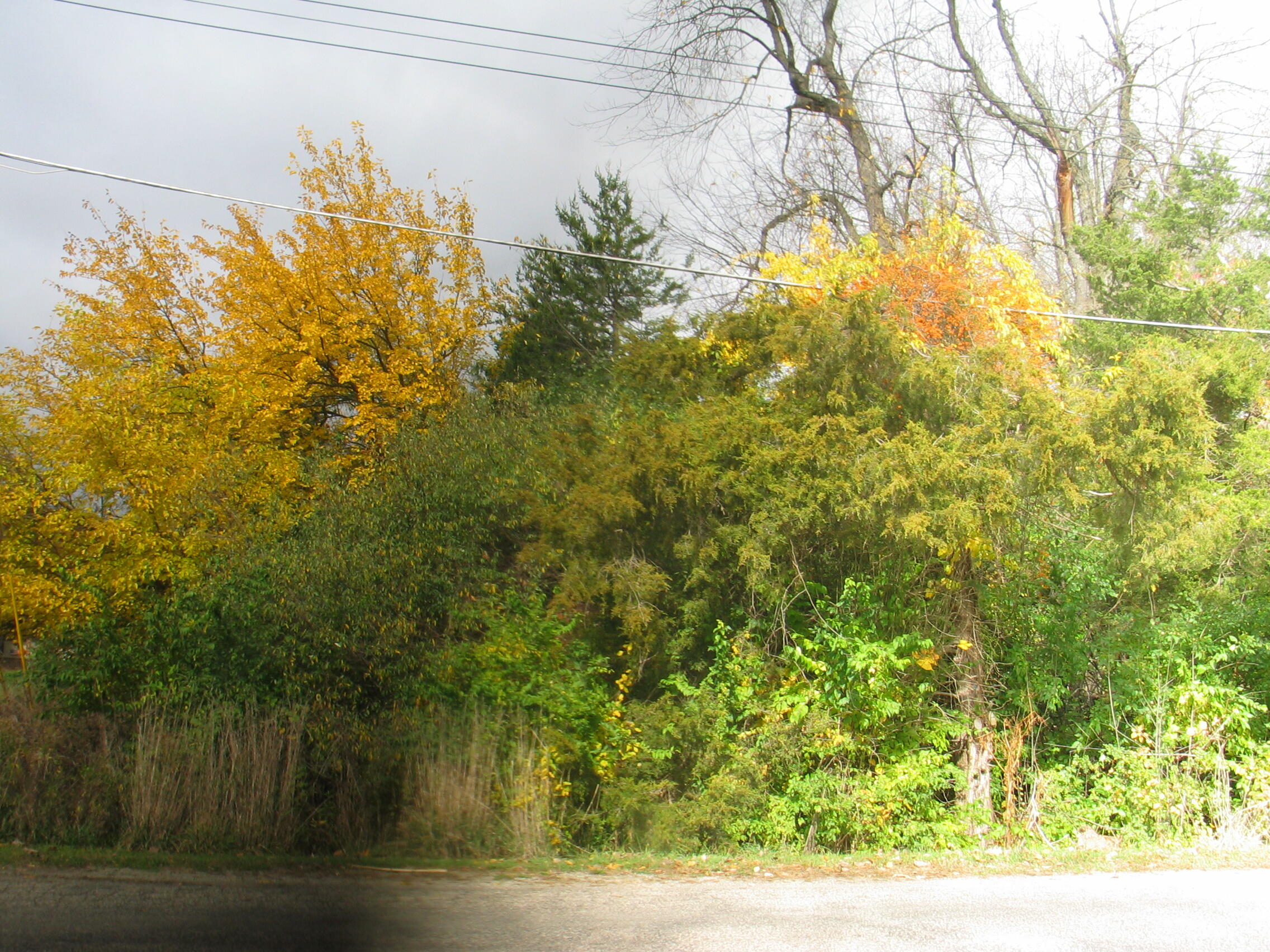 11694 Baker Road Jerome, MI 49249 - Photo 1 of 5 IMG_7391