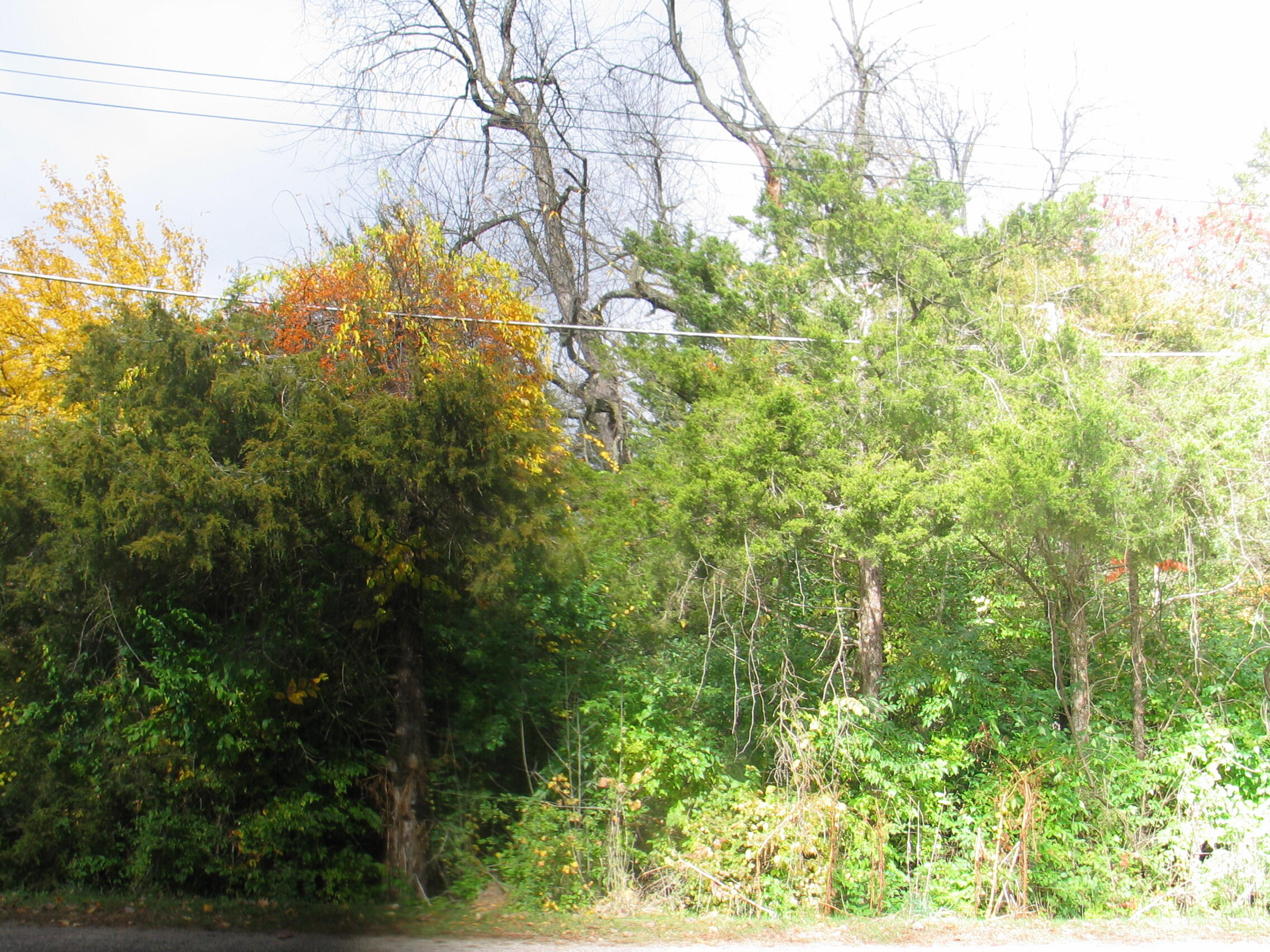 11694 Baker Road Jerome, MI 49249 - Photo 3 of 5 IMG_7392