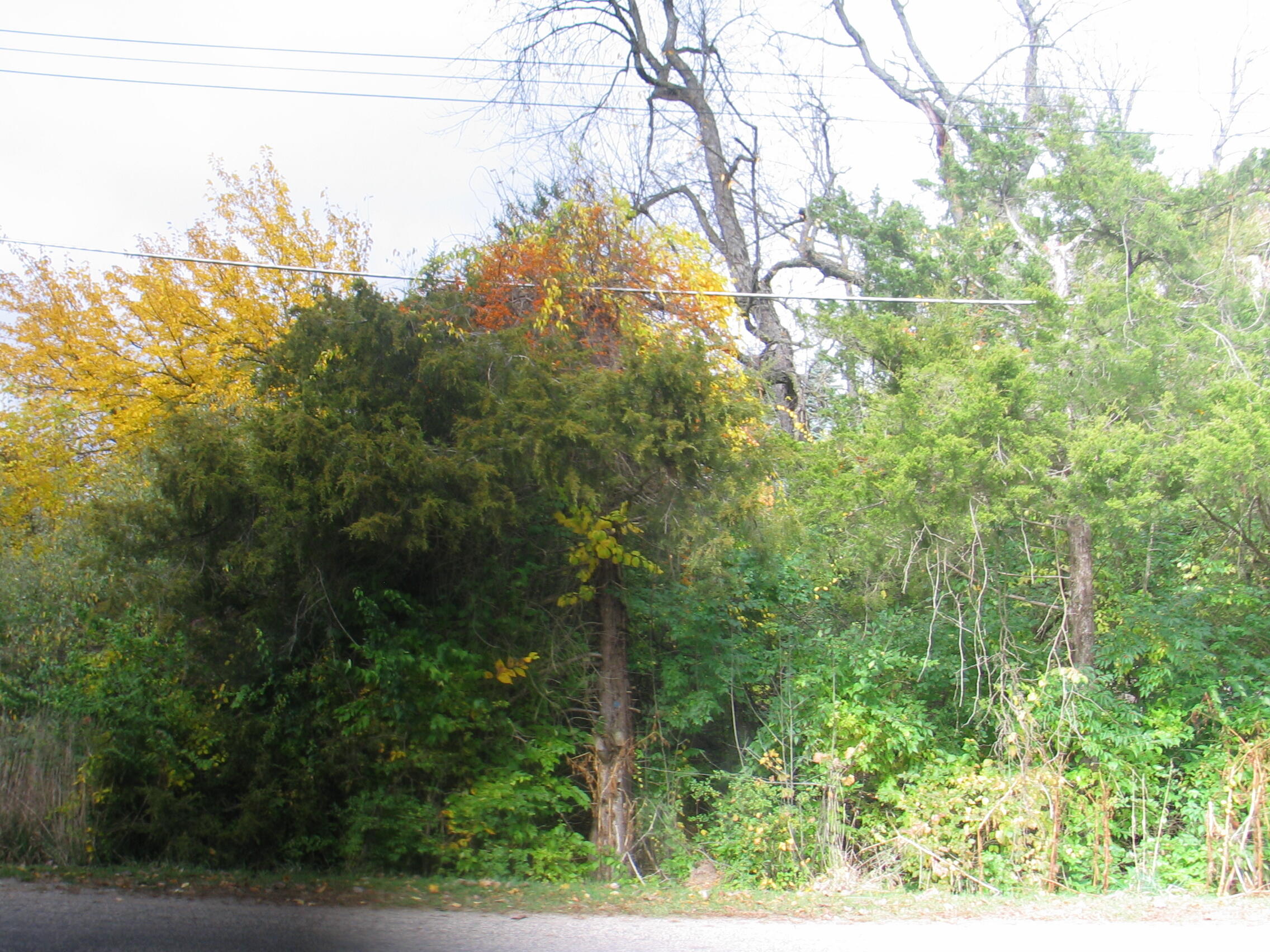 11694 Baker Road Jerome, MI 49249 - Photo 4 of 5 IMG_7393 - Copy