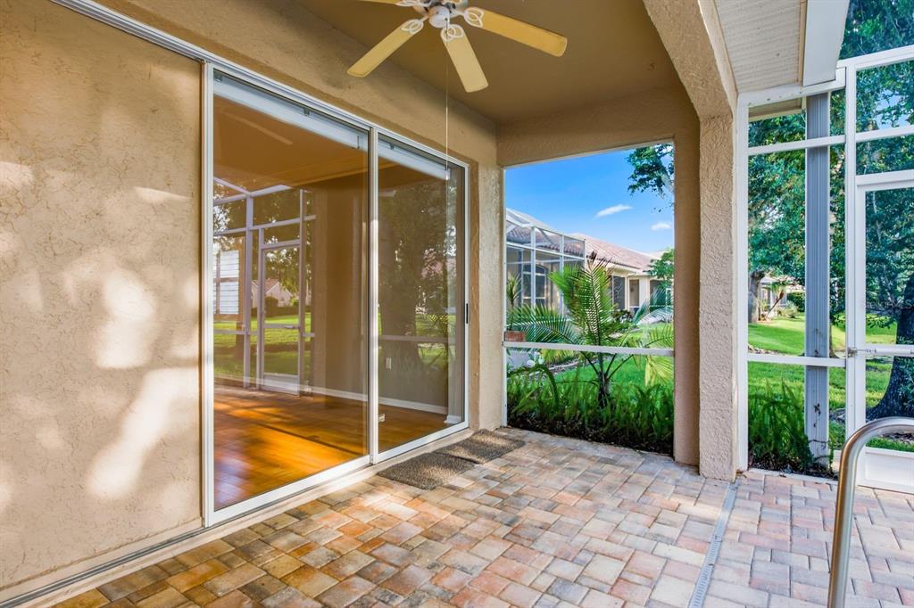 3857 Timber Ridge Court Palm Harbor, FL 34685 - Photo 33 of 56