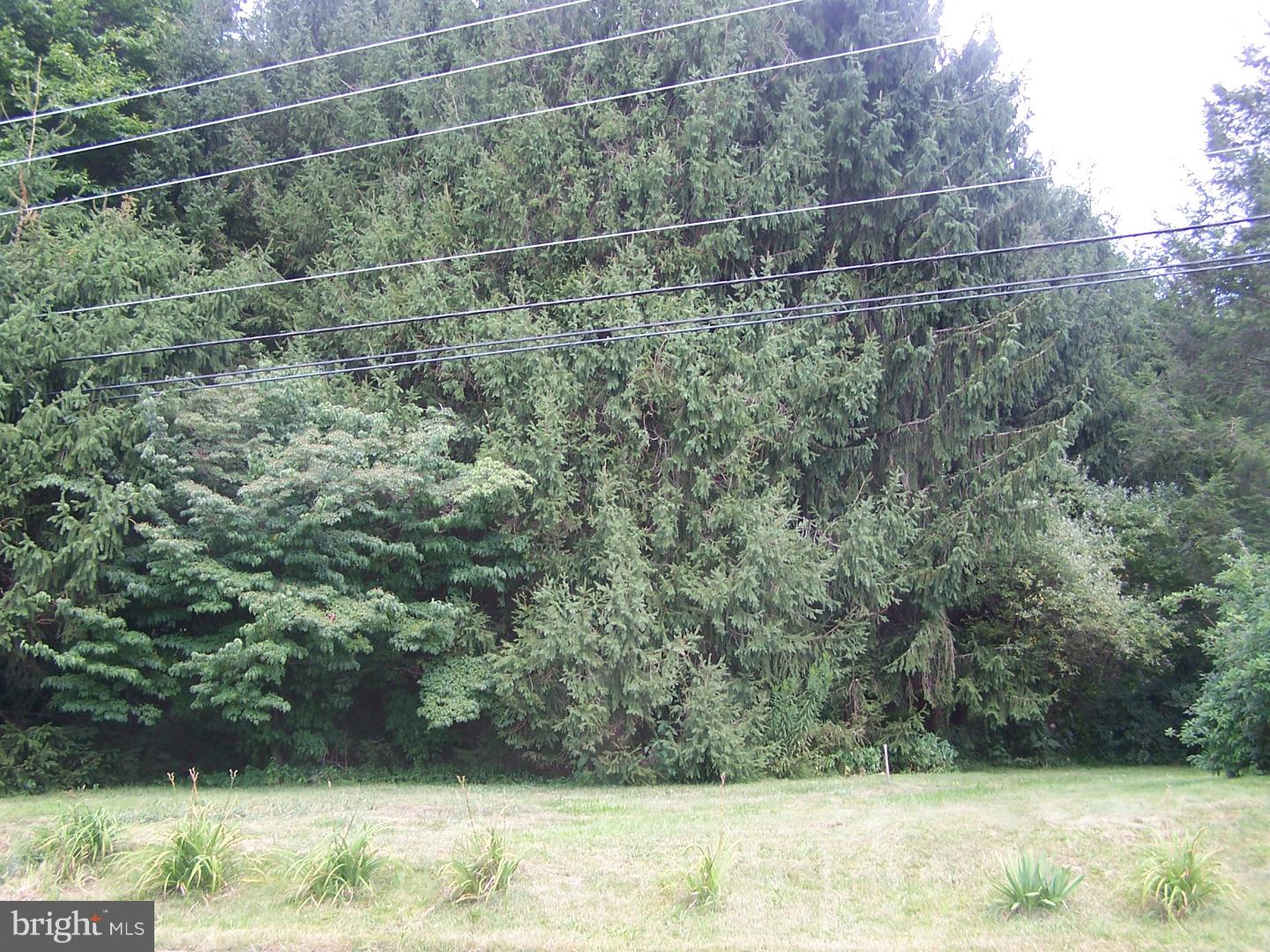 35 Dale Road Barto, PA 19504 - Photo 10 of 25 Gallery Image 10