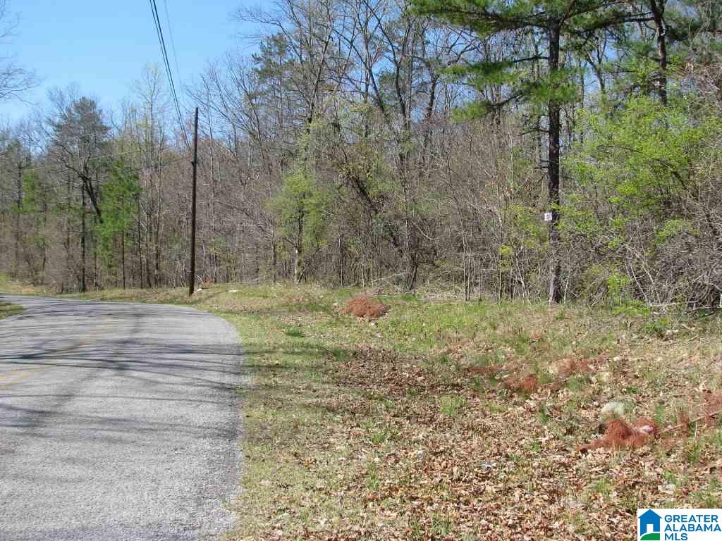 1495 Lynch Lake Road, Unit 6A Odenville, AL 35120 - Photo 2 of 2