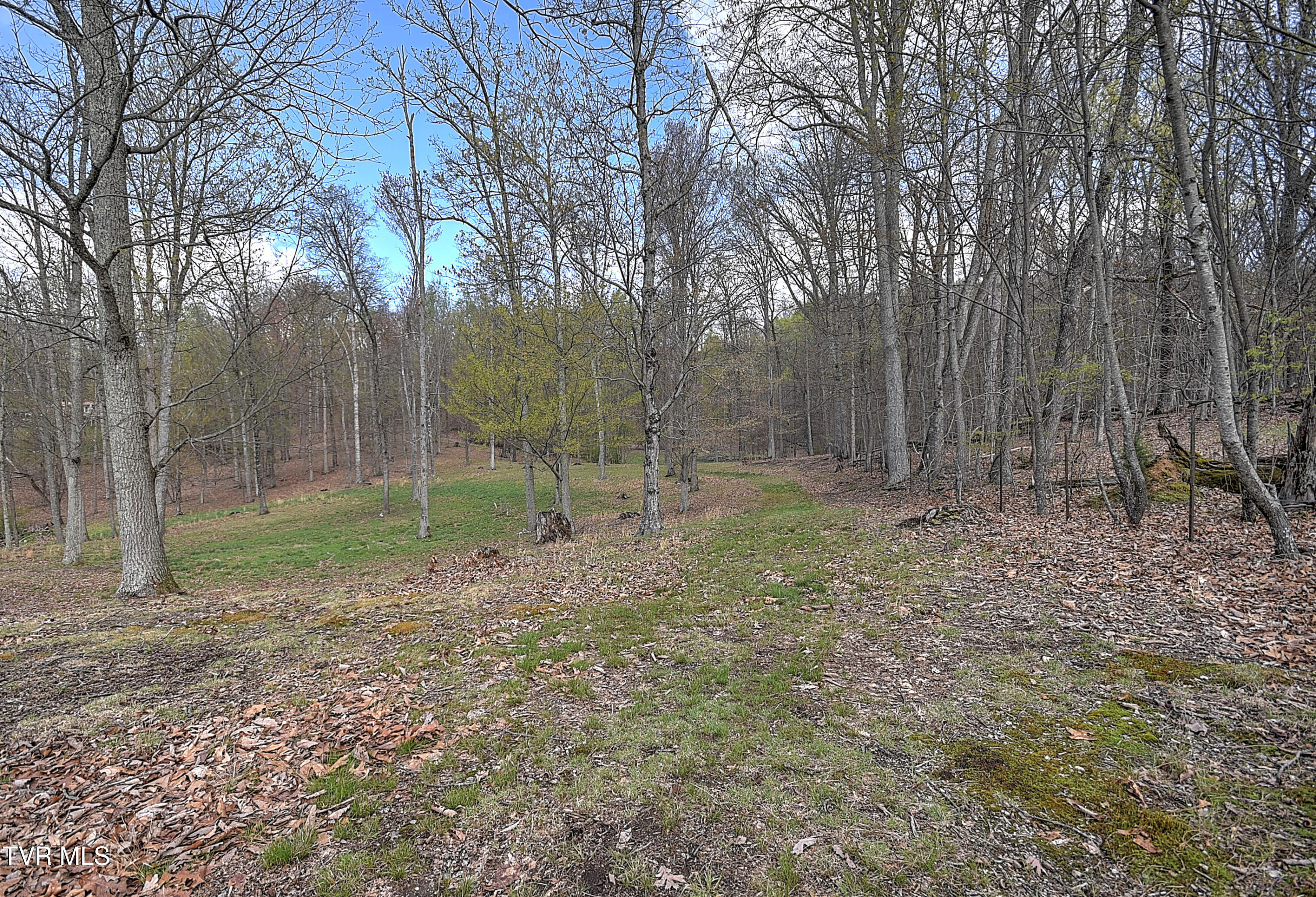 Tbd Youngs Drive Bristol, VA 24202 - Photo 33 of 52 23331 Youngs Dr DB-12