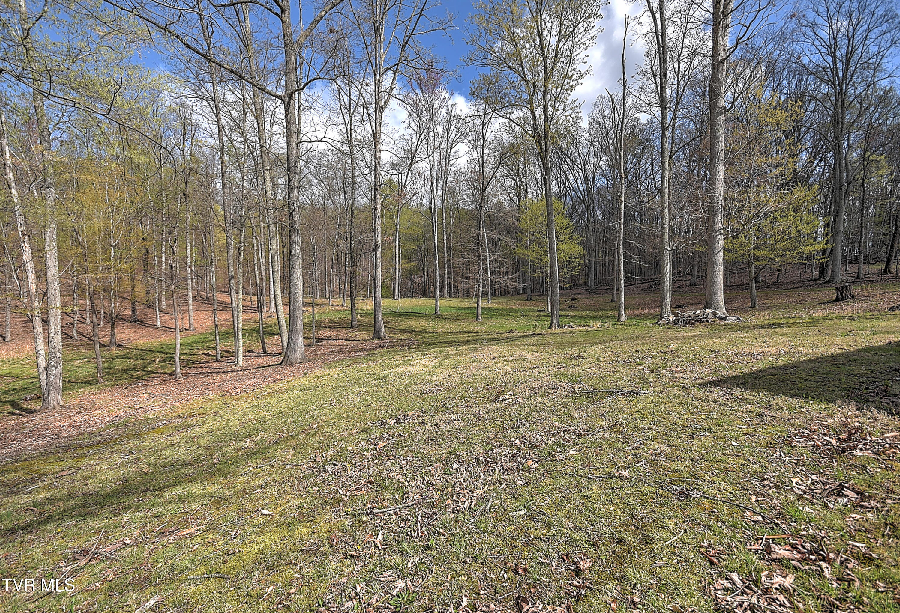 Tbd Youngs Drive Bristol, VA 24202 - Photo 48 of 52 23331 Youngs Dr DB-30