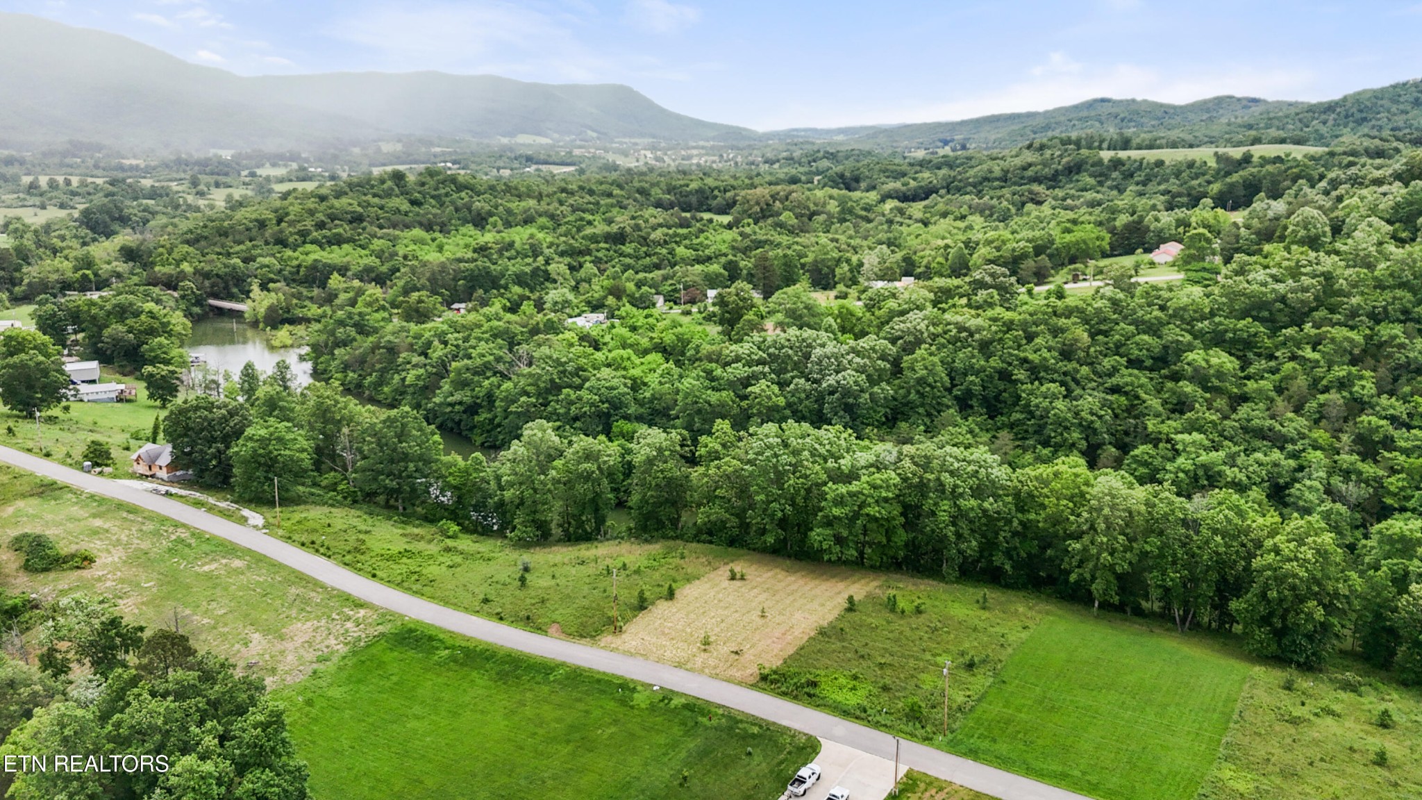 0 Wagon Lane Speedwell, TN 37870 - Photo 4 of 13 a view of a lush green forest with a mountain in the background