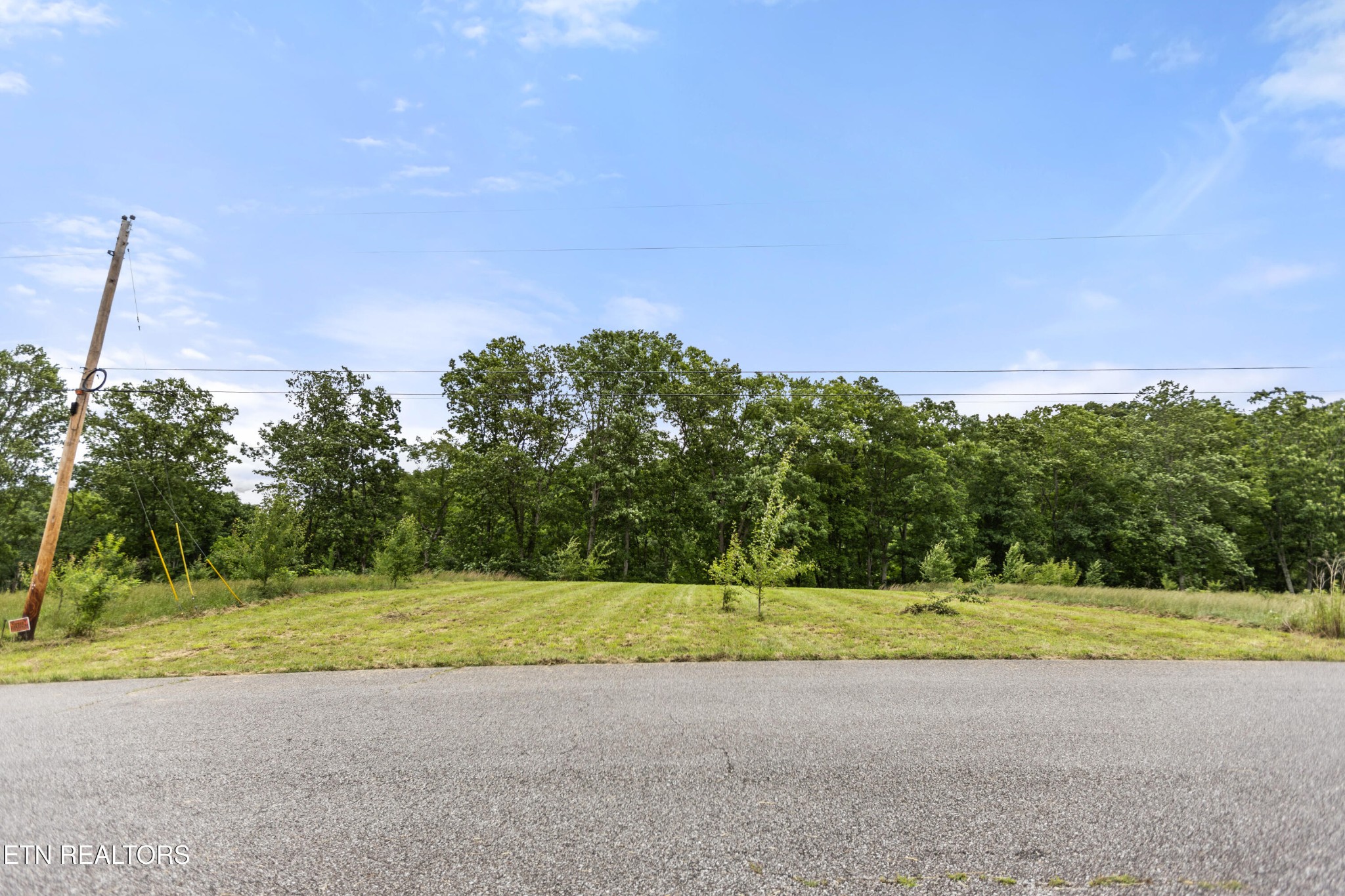 0 Wagon Lane Speedwell, TN 37870 - Photo 9 of 13 a view of a field with a big yard