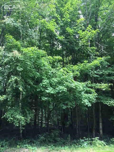 0 Downing Birch Run, MI 48415 - Photo 2 of 2