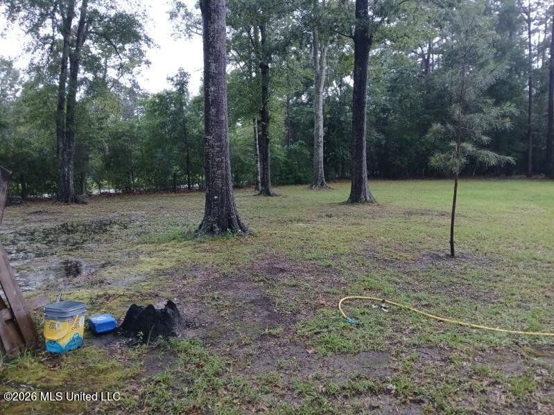 166 West Wilkerson Ferry Road Lucedale, MS 39452 - Photo 6 of 8 166 Wilkerson Ferry Road - #6