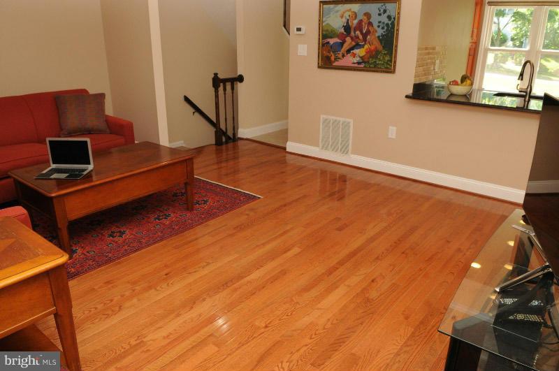 7337 Stream Way Springfield, VA 22152 - Photo 5 of 18 Living Room