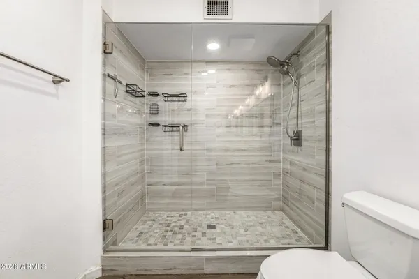 a bathroom with a shower and toilet