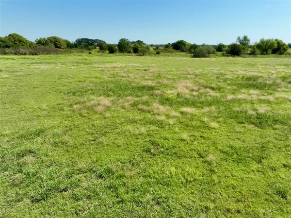 a view of a green field with an trees in the background