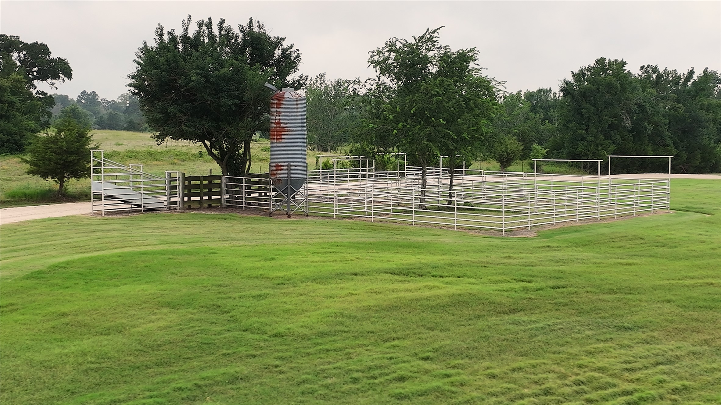 3285 Fm 2562 Road Anderson, TX 77830 - Photo 33 of 49