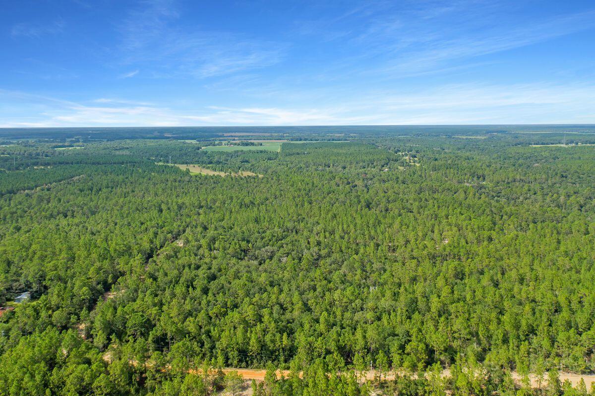 10 Sexton Road DeFuniak Springs, FL 32433 - Photo 6 of 10 a view of a green field with lots of bushes