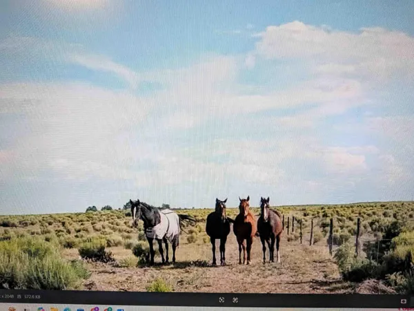 $95,000 | 16073 Co Road, Saguache, CO 81149