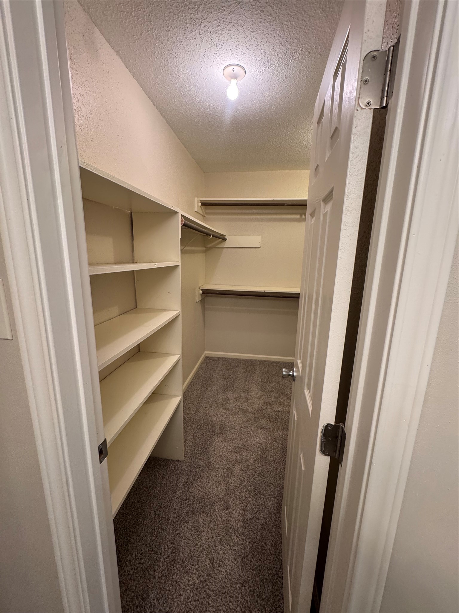 2519 Wheelwright Lane Friendswood, TX 77546 - Photo 5 of 11