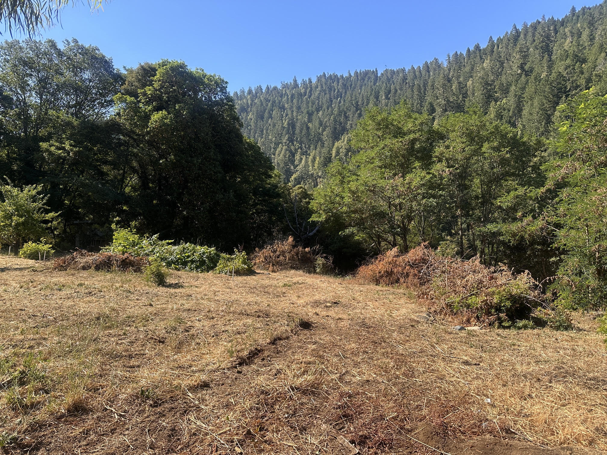 100 Ferguson Road Salyer, CA 95563 - Photo 2 of 10