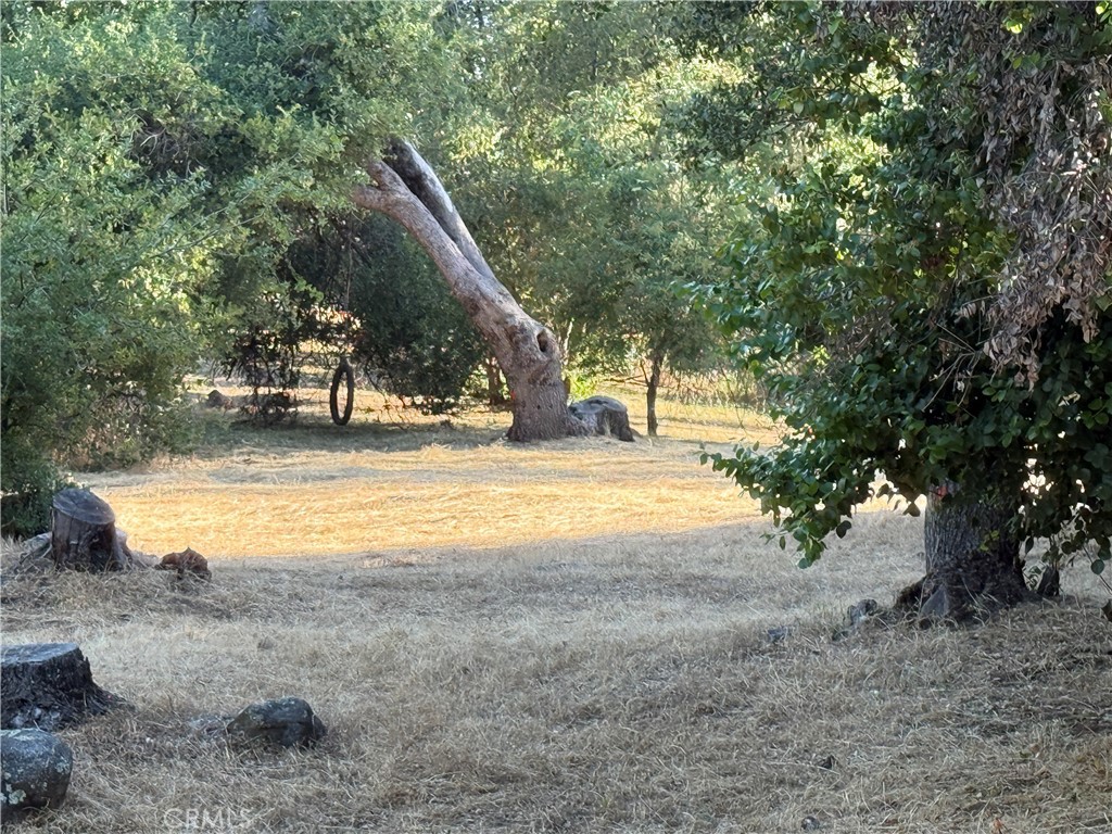 5452 Carleton Road Mariposa, CA 95338 - Photo 12 of 57
