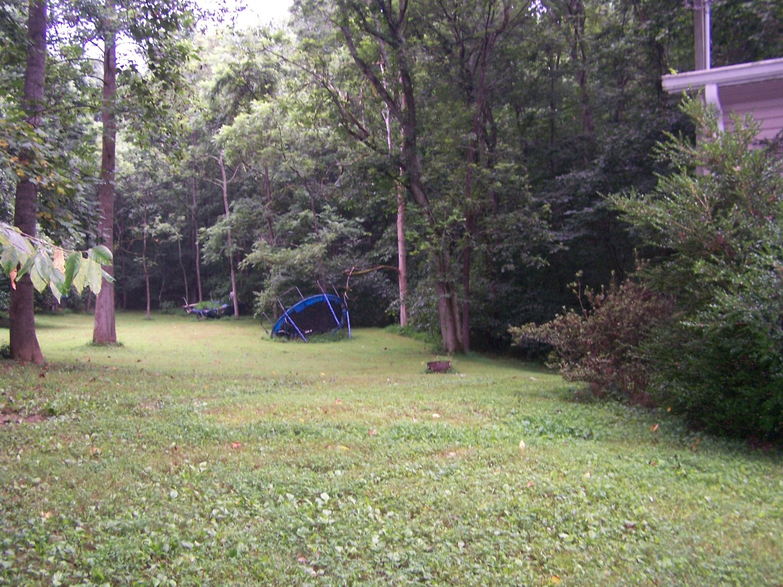 308 Dry Weakley Road Ethridge, TN 38456 - Photo 5 of 12 Gallery Image 5
