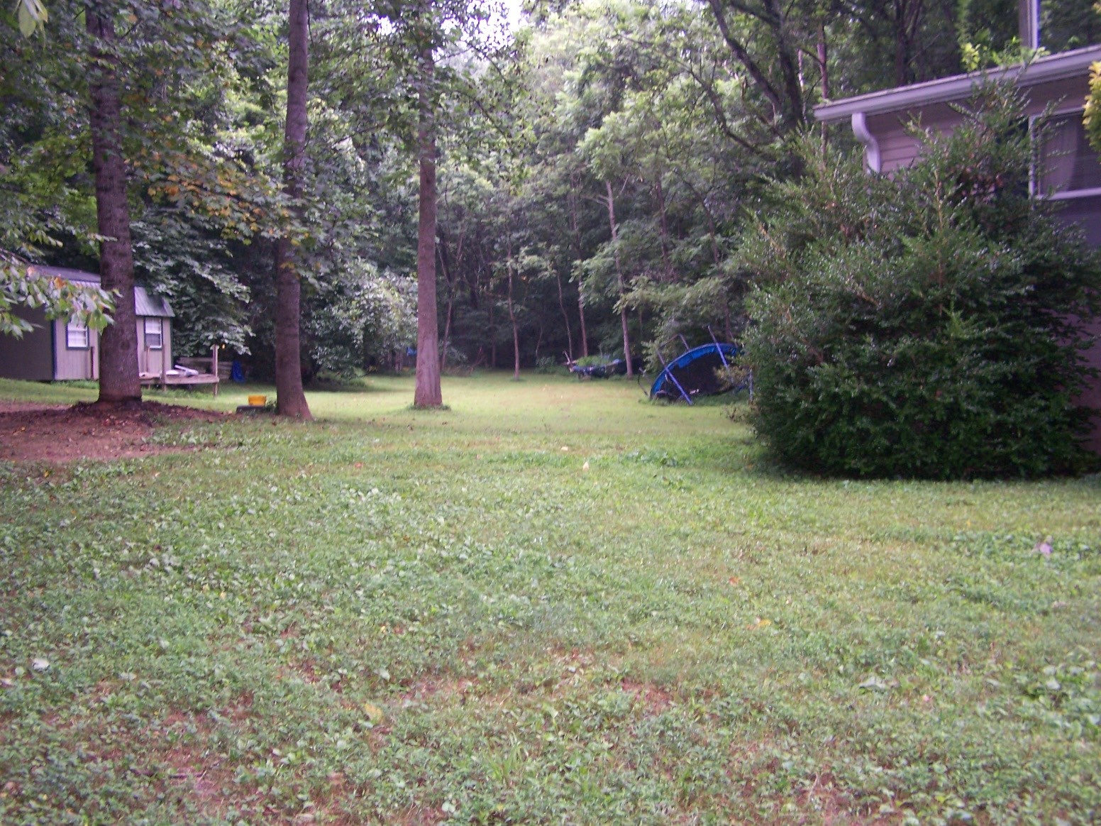 308 Dry Weakley Road Ethridge, TN 38456 - Photo 6 of 12 Gallery Image 6
