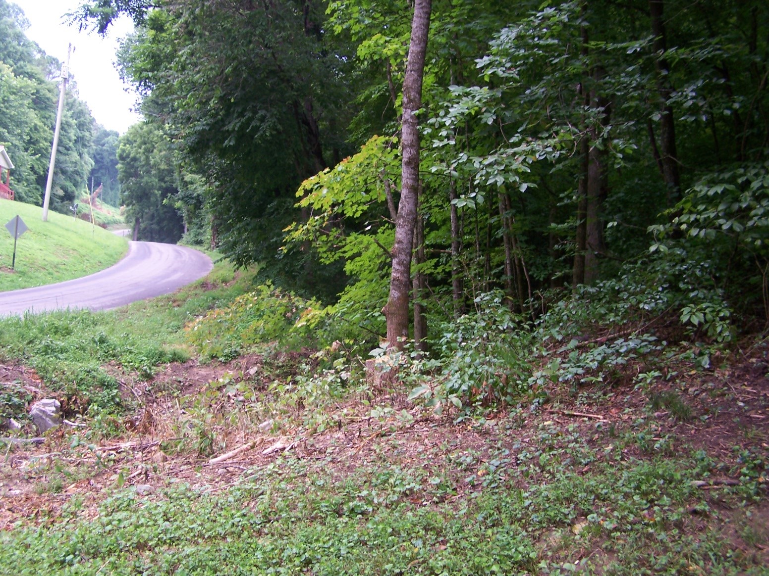 308 Dry Weakley Road Ethridge, TN 38456 - Photo 10 of 12 Gallery Image 10